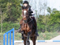 IMG_0687_web